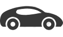 car features logo