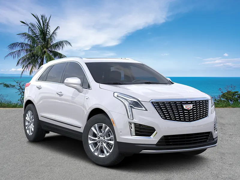 Custom Vehicle Digital Background: Example 3